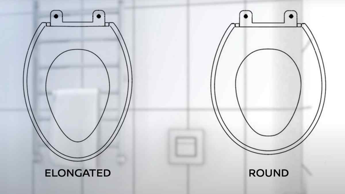Everything You Need To Know About Elongated Vs. Round Toilet Find The