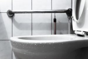 How to Stop a Toilet Overflowing Img