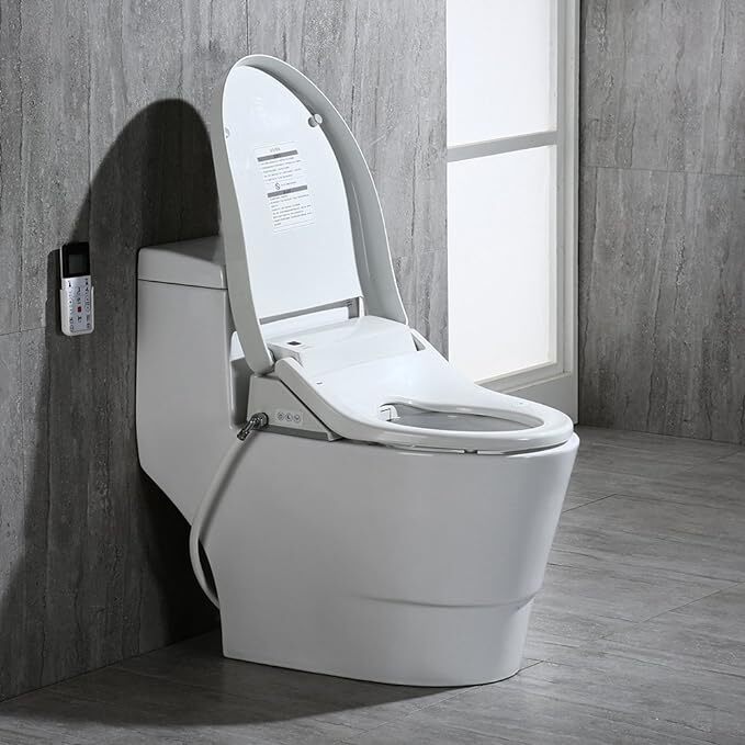 Top-4-WoodBridge-Toilet-Reviews-in-2020-TN