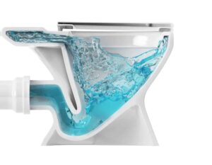 Best Flushing Toilet Img