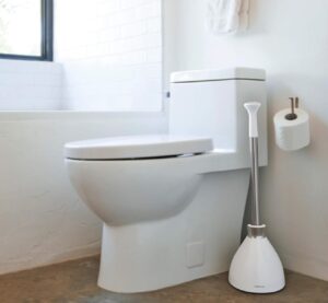 Best Toilet Plunger Img