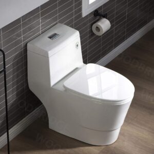 Best No Clog Toilet Img