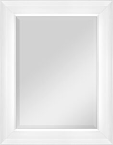 MCS 15.5x21.5 Inch Wall Mirror Img